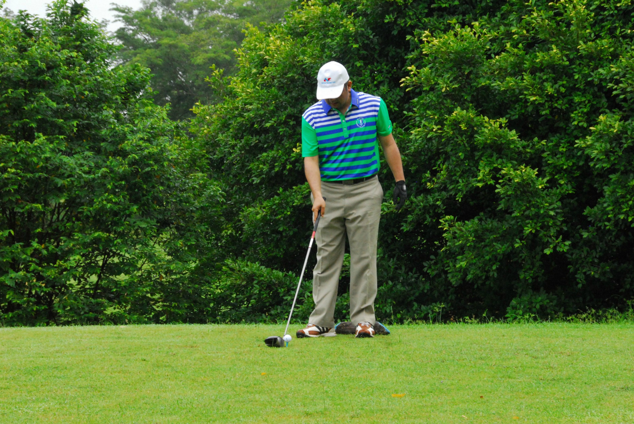 PRO15 157 GOLF DSC 0189.JPG